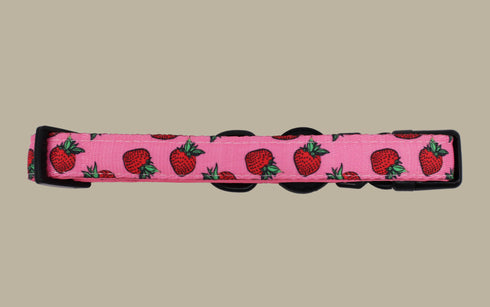 Pablo & Co. STRAWBERRIES Collar